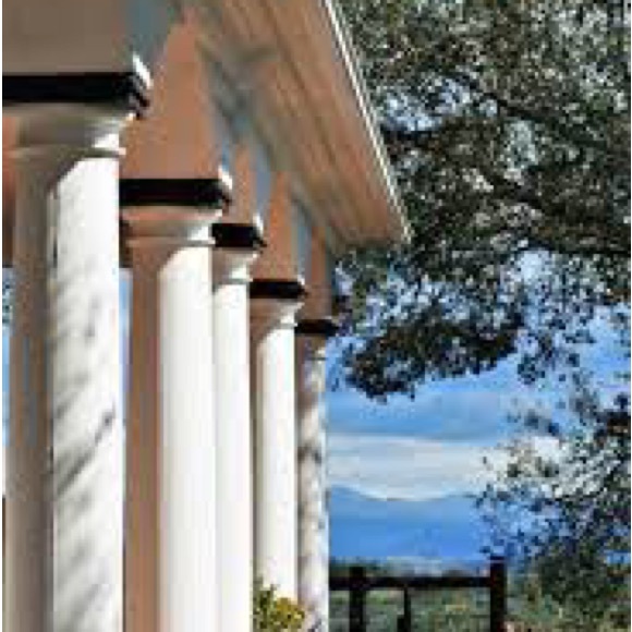 Meet your Posher, Kimberly - Picture 14 of 16